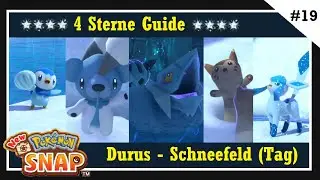 4-Sterne Guide - Durus Frostiges Schneefeld (Tag) - Alle Pok&eacute;mon - New Pok&eacute;mon Snap Guide - 19