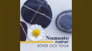 Chakra rensning