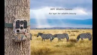Usogood DL501 Trail Camera