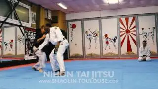Nihon Tai Jitsu au Shaolin Toulouse