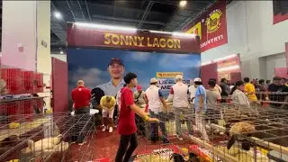 Gamefowl 2025 : Sonny Lagon, Blueblade , Felix Punzalan, Joey Sy, Jojo Gatlabayan, Oliver, JVL etc