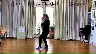 Tai Chi Breath Work Set 08 Repulse the Monkey