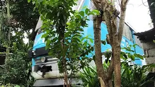 DOST Hybrid Electric Train Trial Run - August 2023 - Bay, Laguna