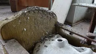 Old abandoned sofa covered with bird guano - Copyright Free Stock Footage