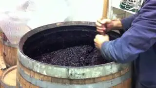 Neue Serie: Wein und Musik