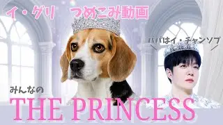 皆んなの姫👸🐶 | BTOB チャンソプの愛娘グリ つめこみ動画