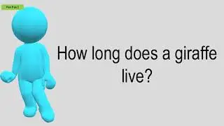 How Long Does A Giraffe Live?