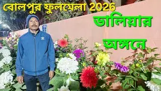 Huge Size Dahlia in Bolpur Flower Show @SubMomThita