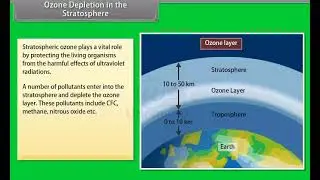 Ch 16 - Environmental Issues | Ozone Depletion in the Stratosphere