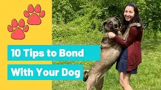 10 Tips for a Stronger Bond with your Service Dog (or ANY dog!) | SD Training Tips