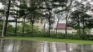 ASMR | Light evening rain. #junnjan #asmr #rainasmr