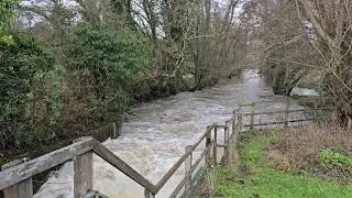 River Wey - Oppersite Rowing Club - Guildford - Surrey