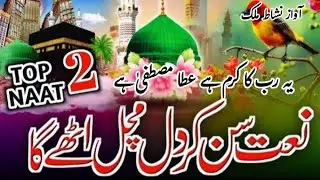Ye Rab Ka Karam Hai Ata Mustafa Hai | Top 2 Naat | Naat Sun Kar Dil Machal Uthega | Nishat Malik 
