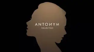 Antonym Collection