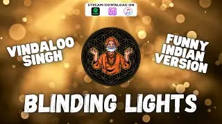 BLINDING LIGHTS l Funny Indian Remix by Vindaloo Singh