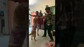 Dog joins owners' dance, lifting paws in Haryana, India