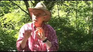 Alouette River Management Society: Saving a River - Individuals and Partnerships