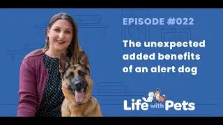 Is Your Dog Better Than Your Best Friend?