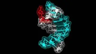 InFocus Therapeutics - Small Molecule Drugs Targeting RNA