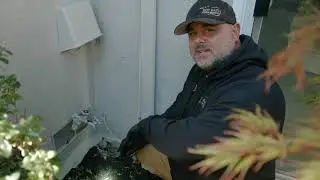 Got Rats Rodent Proofing Inc. Walnut Creek California 94598
