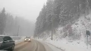 Minunata scena de zapada (Wonderful snowing) - Arieșeni, Romania - 3