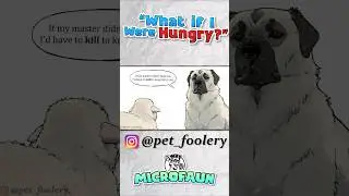 What if a Sheep Dog were Hungry?