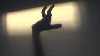 shadowset