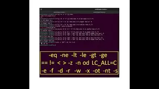 Comparison Operators in Linux for Numbers, Strings, and Files