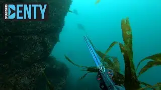 Chasse sous-marine en Bretagne à marée Basse