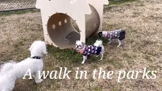 Chew Chew Canine Park /Sculpture Fields at Montague Park in Chattanooga