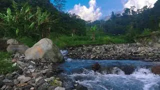 Tranquil River Stream &ndash; 10 Hours of ASMR for Focus, Relaxation & Peace