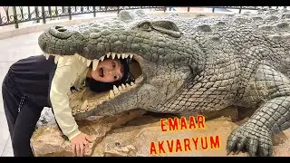 Dünyanın EN Büyük Timsahı. Emaar Akvaryum'u gezdik