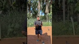 S&oacute; os lind&atilde;o do Criatorio JP.