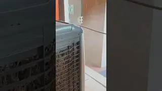 How to clean cooler