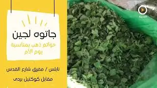فقرة أسعار الخضار والفواكه من سوق البصل في نابلس
