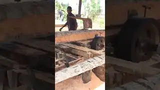 process coconut trees before making them into boards #treecutting #woodworking #woodprocessing