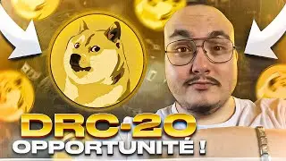 🔥 DRC-20 : NE RATE PAS CETTE OPPORTUNIT&Eacute; ! (BLOCKCHAIN DOGECOIN)