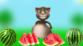 new talking tom billu eating watermelon 🍉🍉🍈🍈| Boom billu