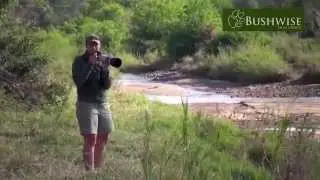 Bushwise FGASA Field Guide Course - the movie 2014
