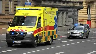 RZP ZZSHMP + Hl&iacute;dkov&yacute; vůz Policie ČR Praha