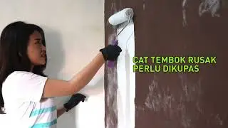 Video Produk VIP Pengupas Cat Tembok
