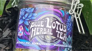 Experience our New Blue Lotus Blended Tea Range