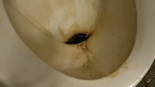 Kempinger  :  Lebenserhaltungsma&szlig;nahmen am alten und lange vergessenen Urinal.. 🪠