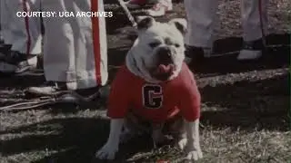 Georgia 1960 Orange Bowl highlights vs Missouri