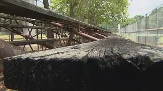 Alternative Baseball provides positive experience for people with disabilities, hopes to come to D-F