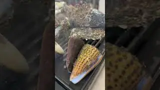 we love seafood 