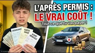 PERMIS EN POCHE : La facture (tr&egrave;s) sal&eacute;e qui t'attend 💸 (Assurance, Auto...)