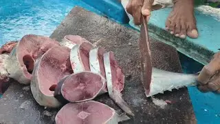 Tuna fish cooking at deep sea (कुपा मासा खोल समुद्रात बोटीवर जेवण बनवताना)