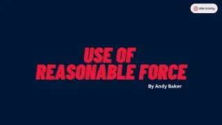 The Use of Reasonable Force