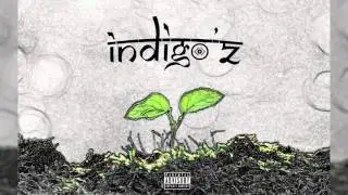 1. INDIGO'Z 